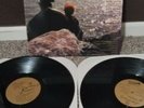 the vindictives many moods 2xlp screeching weasel nofx queers lillingtons