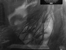 Waxahatchee ?- Out In The Storm (LP) (M/M) (Sld)
