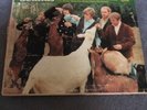 1966 Beach Boys Pet Sounds LP Vinyl Album Capitol Records T 2458 VG+/VG Mono