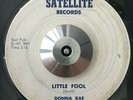 ROCKABILLY 45 Donna Rae & the Sunbeams - Little Fool/Whisper Your Love Satellite