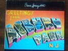 BRUCE SPRINGSTEEN Greetings from Asbury Park N.J. Lp vinilo original 1977