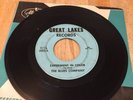 The Blues Company- Experiment in Color 45 Great Lakes RARE Michigan Garage Psych