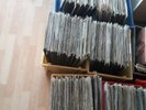 Vinyle Hardtek Tribe 650lp