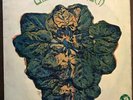 Ultimate Spinach - Ultimate Spinach - 1968 First UK Press - VG/VG+
