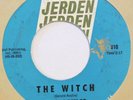 SONICS The Witch / Like No Other Man JERDEN 45 garage punk fuzz VG+ 1966 HEAR