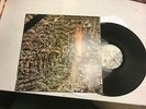 SIOUXSIE & THE BANSHEES juju LP 1981 original white label pvc 8903 goth RARE