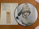 Super Rare Blondie Partial Nude Picture Disc Chrysalis Records Bootleg collector
