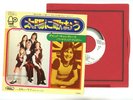 DAVID CASSIDY THE PARTRIDGE FAMILY 7
