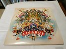 LP ITALIAN LIGABUE MADE IN ITALY 2 LP LIMITED  EDITION RARE ITALY ITALIA