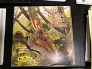 Music for Big Dame Hunters LP (Irish McCalla/Sheena Queen of Jungle/Cheesecake)