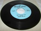 Joanne Gayles US Bright star 45 Meet me half way Northern Soul
