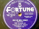 DIABLOS doowop 78 HOLD ME UNTIL ETERNITY / ROUTE 16 on Fortune Mint Minus RJ 101