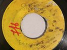 COASTERS - STONY HILL - BLANK ( VERY RARE SKINHEAD 7 )