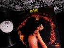 RARE  1969  ORIG   The 31 FLAVORS (THE FIREBIRDS) Hard FUZZ PSYCH BLOW YOUR MIND