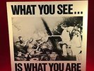 VARIOUS What You See Is What You Are 1978 UK vinyl LP EXCELLENT Alternative TV