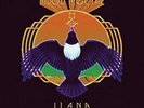 MDOU MOCTAR Ilana: The Creator LP NEW VINYL Sahel Sounds Tuareg guitar