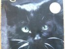 C.C. Catch - LP - Catch The Catch - 1986 - Dieter Bohlen - Hansa 207 707