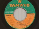 Panama Sweet Soul / Salsa 45 MARIO GRAU & LOS SHELTERS Cheer Up TAMAYO Hear mp3
