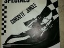The Specials Concrete Jungle Live  Raquel 7