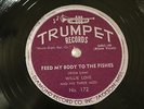 BLUES WILLIE LOVE Feed My Body To The Fishes TRUMPET 172  E+   APPEARS UNPLAYED