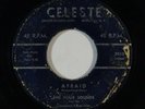 Doo Wop 45 FOUR SOUNDS Afraid/Tall Lanky Papa on Celeste