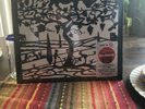 Dave Matthews Band Rhino's Choice Target Exclusive Rose Wine Color Vinyl 2LP NEW