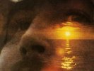 David Crosby - If I Could Only Remember My Name