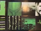 Type O Negative - None More Negative Green Vinyl Boxset (2011 RSD Release)