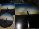PINK FLOYD ULTRA LIMITED 100 COPY INCLUDING FREE POSTER  PICTURE LP