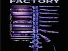 RARE FEAR FACTORY DEMANUFACTURE LP VINYL 1995 ROADRUNNER RECORDS EUROPE PRESSING