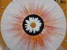 SIGRID  SUCKER PUNCH - LIMITED EDITION SPLATTER VINYL LP (Lmited to 1000 copies)