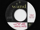 Marvin Preyer - What Can I Call My Own / It's Coming To Me (Soul, 45) 1173