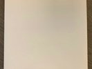 The Beatles - White Vinyl Record (9/10 quality )