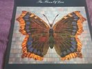 The House Of Love - 12