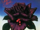 Thin Lizzy - Black Rose Vinyl LP  Rare Irish  pressing Vertigo Records