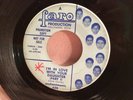 ENCHANTMENTS 45 I'm In Love With Your Daughter FARO rare PROMO northern soul