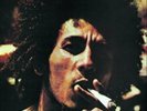 Bob Marley and The Wailers-Catch a Fire Vinyl / 12