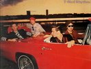 The Fabulous Thunderbirds T-Bird Rhythm NEAR MINT Chrysalis Records Vinyl LP