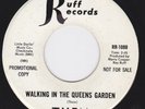 UK Psych Freakbeat USA 45 - THEM - Walking In The Queens Garden / I Happen To