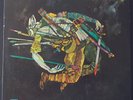 MORTON SUBOTNICK - THE WILD BULL 1968 NONESUCH H-71208 ORIG US ED 1 VINYL LP