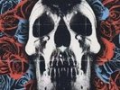 Deftones : Deftones VINYL 12