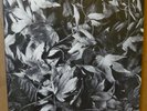 BARK PSYCHOSIS All Different Things / By-Blow 12