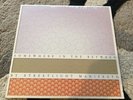 Streetlight Manifesto - Everything In The Between 1st Press Blue Vinyl Lp Ska