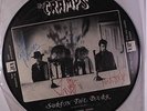 surfin the dark (vinyl picture disc) the cramps B00MW887QM