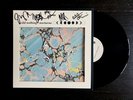 Wild Nothing ?– Nocturne SIGNED Vinyl Record LP 2012 Captured Tracks ?