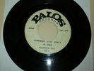CHICAGO ELECTRIC BLUES 45 RPM RECORD - ALABAMA RED (CURTIS RAY) - PALOS 100