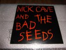 Nick Cave And The Bad Seeds Pandoras  misery