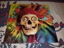 GRATEFUL DEAD - THE WARLOCKS 20TH ANNIVERSARY RECORD 2LP  bootleg NO TMOQ VINYL