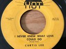 Curtis Lee “Gotta Have You/I Never Knew What Love Could Do” Hot Records H-7 1556