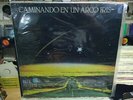 BLUE SYSTEM CAMINANDO EN UN ARCO IRIS RARE LP ARGENTINA UNPLAYED 1988